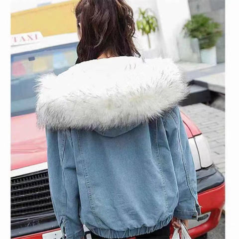 Winter velvet new cotton clothes loose Korean version denim fur collar thickened jacket women's m301671
